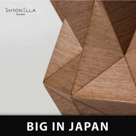 פרסום לסדנת Big in japan עם צילום מתוך עבודת אוריגמי של אילן גריבי
